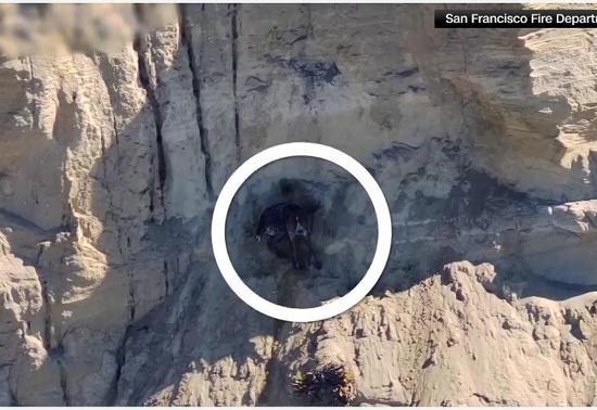 Film gibi anlar Mahsur kalan köpek böyle kurtarıldı