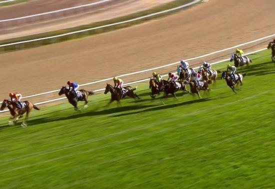 87. Cumhurbaşkanlığı Koşusu Şampiyonu, Grande Flusso oldu