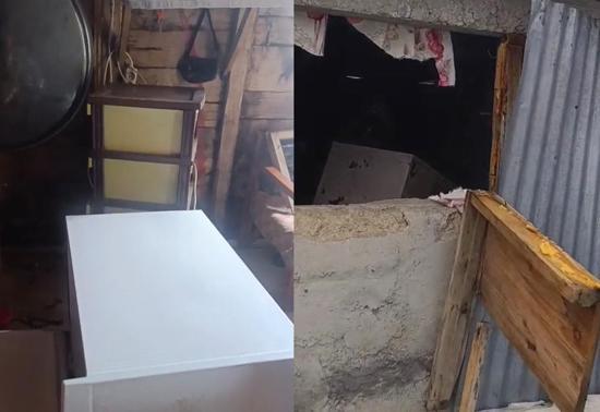 Rize'de ayı paniği! 20 eve girdi, vatandaşları canından bezdirdi