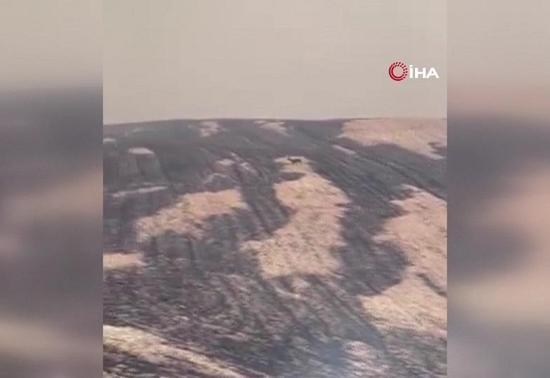 Çanakkale'de yangından kaçan geyik kameralara yansıdı