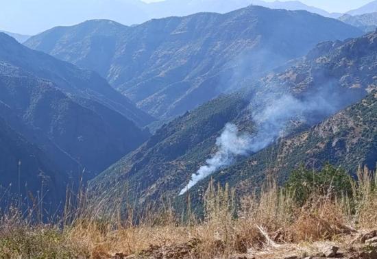 Munzur Vadisi Milli Parkı'nda orman yangını