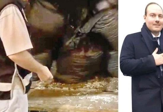 SON DAKİKA... Alihan Kuriş tutuklandı!