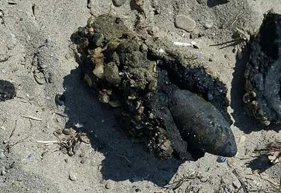 Çanakkale'de halk plajında patlamamış top mermisi bulundu