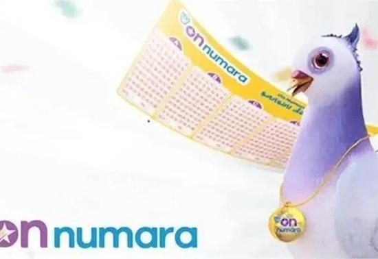 ON NUMARA SONUÇ SORGULAMA EKRANI: 28 Ağustos On Numara sonuçları nereden ve nasıl sorgulanır MPİ On Numara sonuçları tıkla öğren