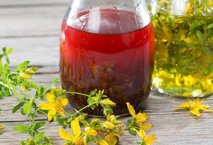 Kırmızı Kantaron Yağı Faydaları Nelerdir? Neye İyi Gelir? Kırmızı Kantaron Yağı Az Bilinen Faydaları