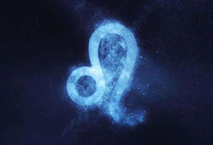 Aslan Burcu Erkeğinin Özellikleri Ve Anlaşabildiği Burçlar