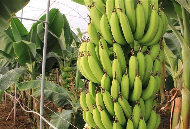 Rinoplasti Sonrası Değişen Sadece Burnunuz mu?7