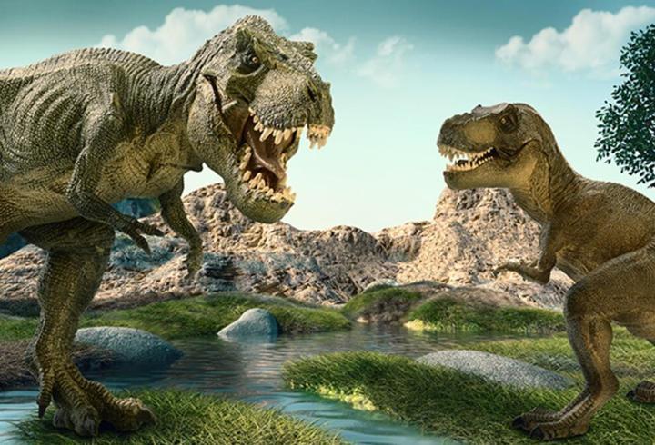 Dinozor Nasıl Yazılır? Dinozor TDK Doğru Yazılışı... Dinazor Mu Dinozor Mu ?