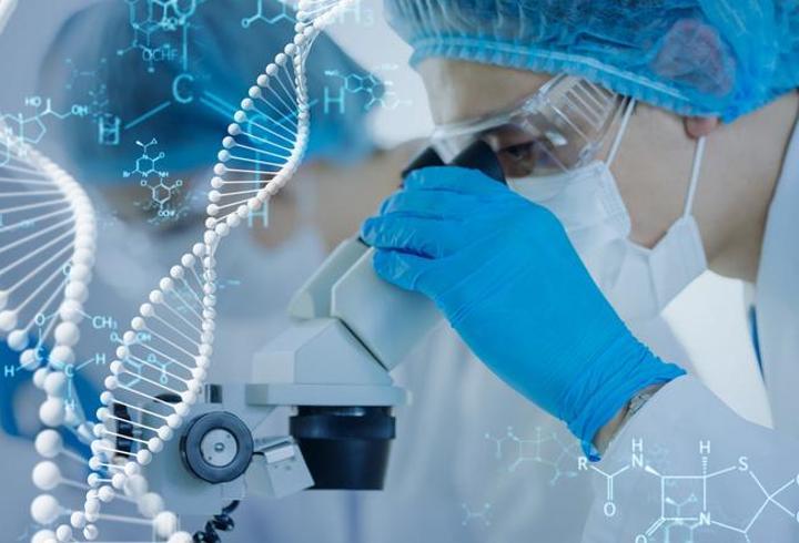 Hücre Organelleri Nelerdir? Organeller Ve Görevleri (Tam Liste)