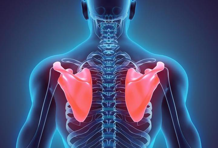 Kürek Kemiği Ağrısı İçin Hangi Doktora Gidilir? Kürek Kemiği Ağrısına Hangi Bölüm Bakar?