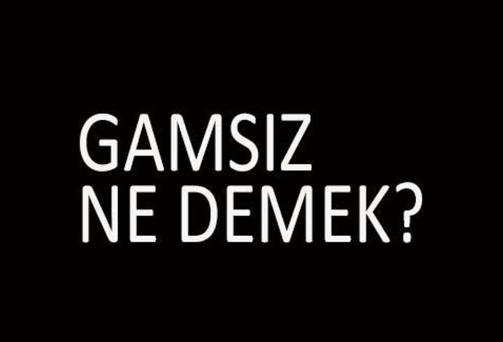 Gamsız Ne Demek, Tdk Sözlük Anlamı Nedir? Gamsız Kime Denir?