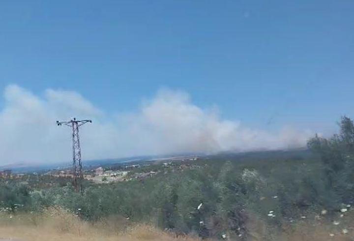 Çanakkale’de yine orman yangını: Tarım arazisinde başladı!