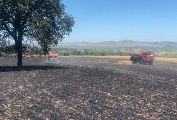 Balıkesir'de tarla yangını: 35 ton buğday kül oldu!