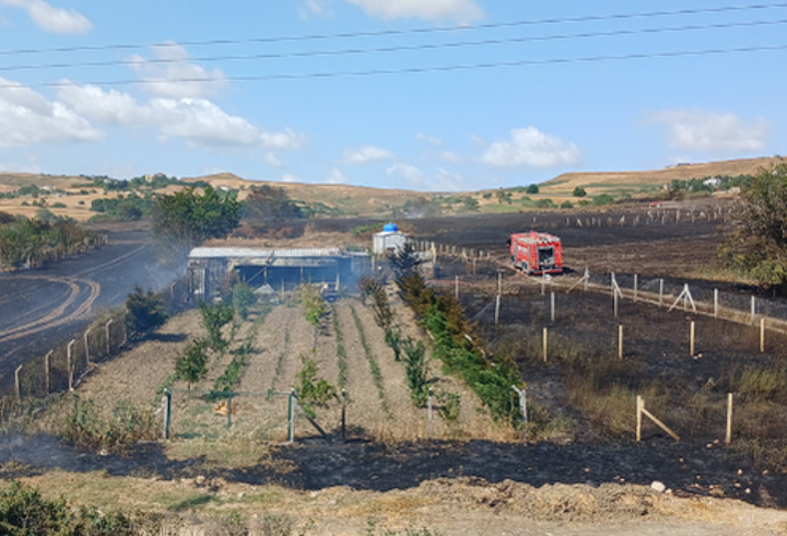 Silivri'de otluk alanda çıkan yangın kontrol altına alındı