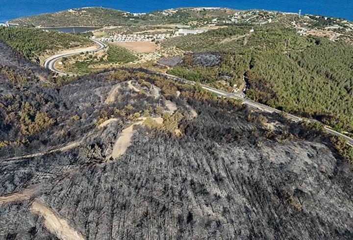 İzmir'deki orman yangınına ilişkin 1 zanlı tutuklandı