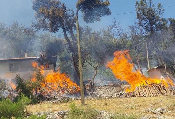 SON DAKİKA HABERİ... Balıkesir'de orman yangını!