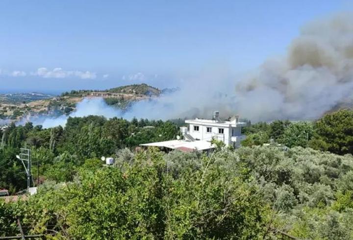 Hatay ve Balıkesir'de orman yangını