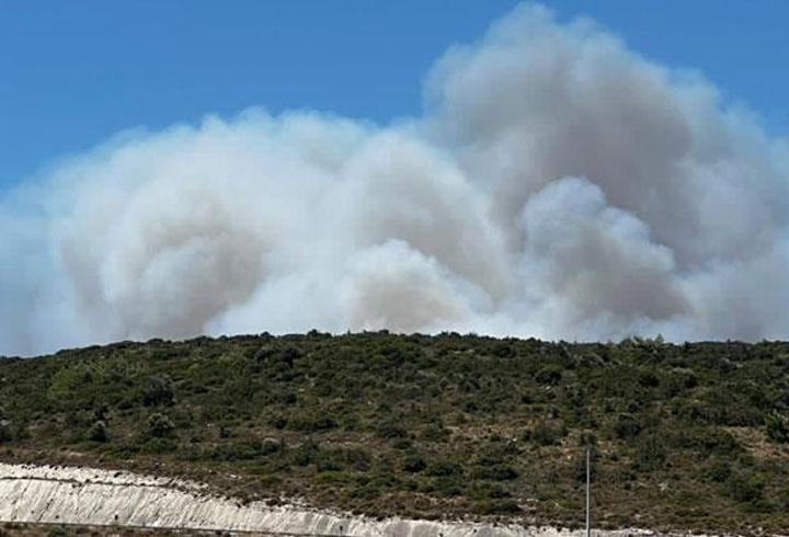 SON DAKİKA... Çeşme'de orman yangını: 3 kişi can verdi