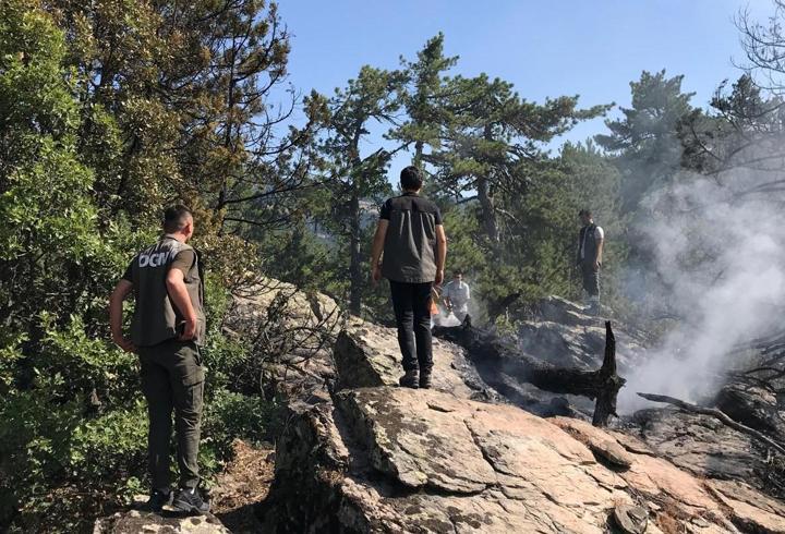 Bolu'da yıldırım düşen ormanda yangın çıktı