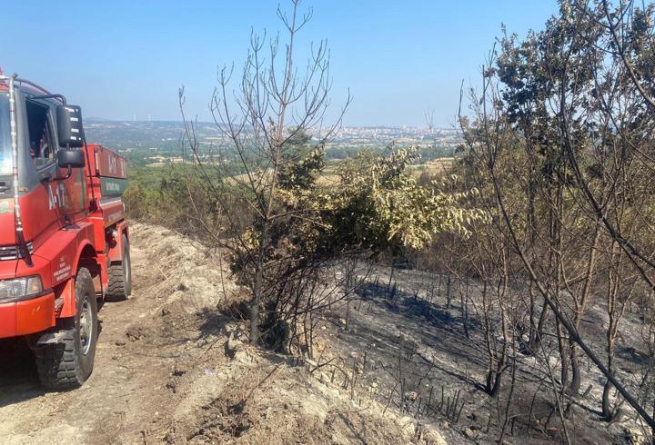 Çanakkale Ayvacık'taki orman yangını 2'nci gününde