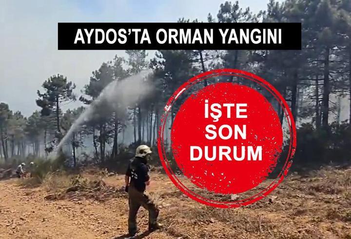 HABER… İstanbul Pendik Aydos Orman yangını son durum ne? Müdahale sürüyor!