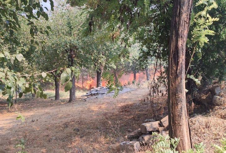 Adıyaman'da anız yangınına 1 gözaltı