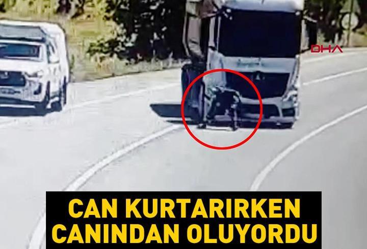 Video Haber | Yaralı serçeyi kurtarmak isterken kamyon çarptı