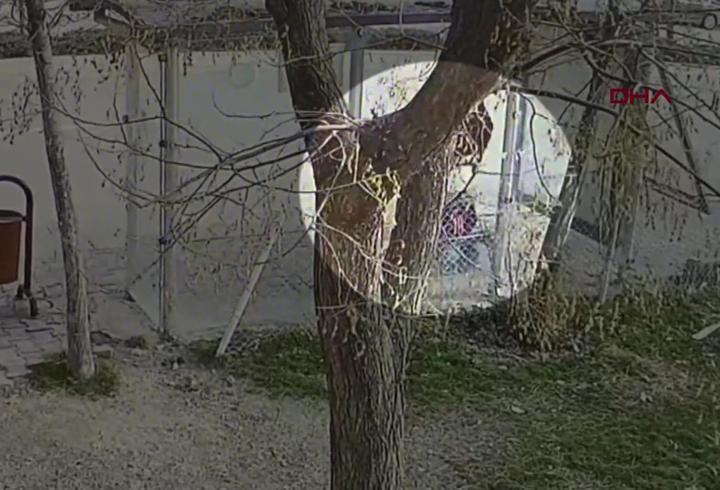 Yer: Ankara… 15 yaşındaki kızı bıçaklayıp gasp etti! İŞTE O ANLAR