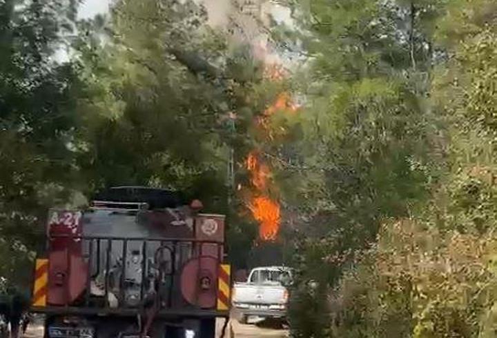 Kahramanmaraş'ta ormanlık alanda çıkan yangın söndürüldü