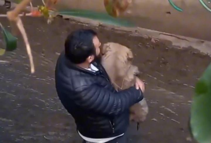 İstanbul - Ataşehir’de köpeğini kurtarmak isterken derede mahsur kaldı 