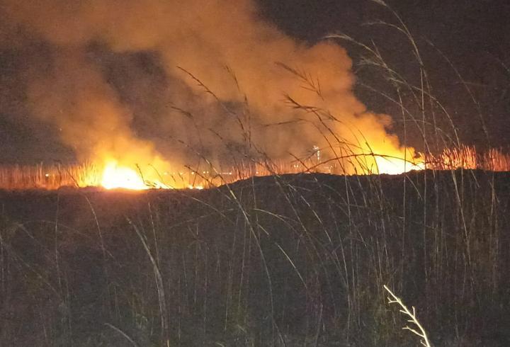 Hatay'da sazlık yangını söndürüldü
