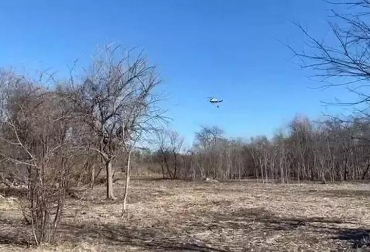 New York'taki orman yangınlarına ilişkin soruşturma başlatıldı
