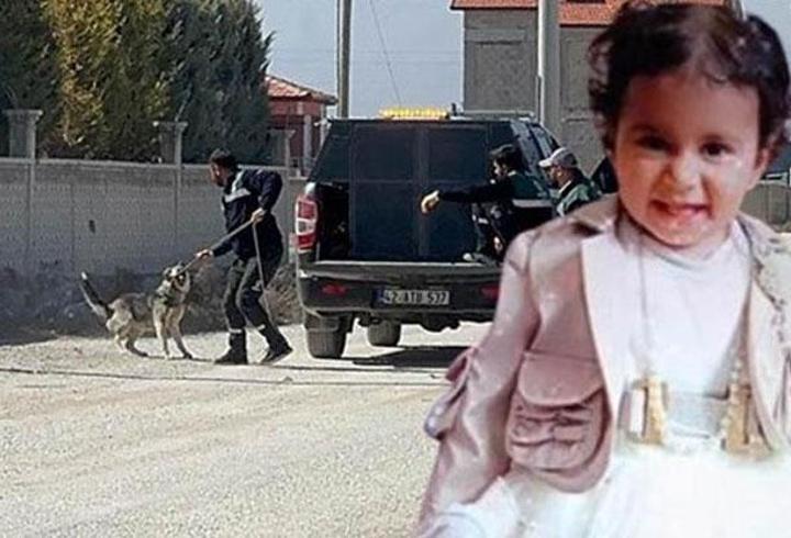 DMM'den köpek saldırısında ölen Rana'ya ilişkin açıklama