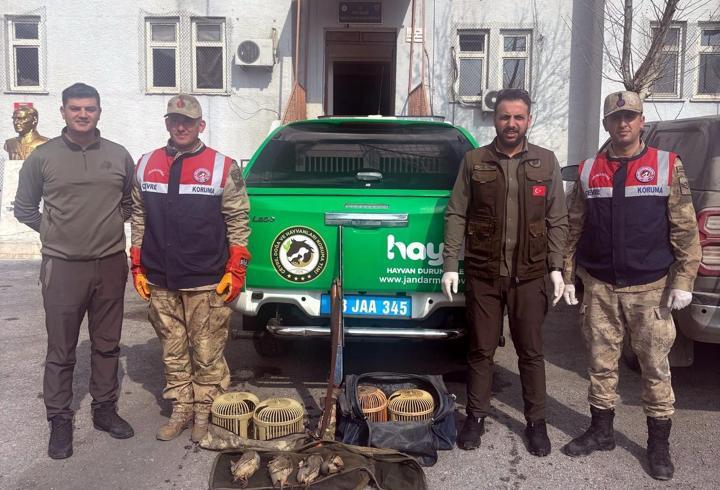 Bitlis'te kaçak keklik avlayan 2 kişiye 114 bin 910 TL ceza