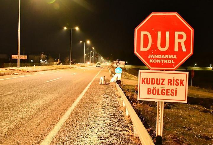 Adıyaman'da "kuduz" alarmı