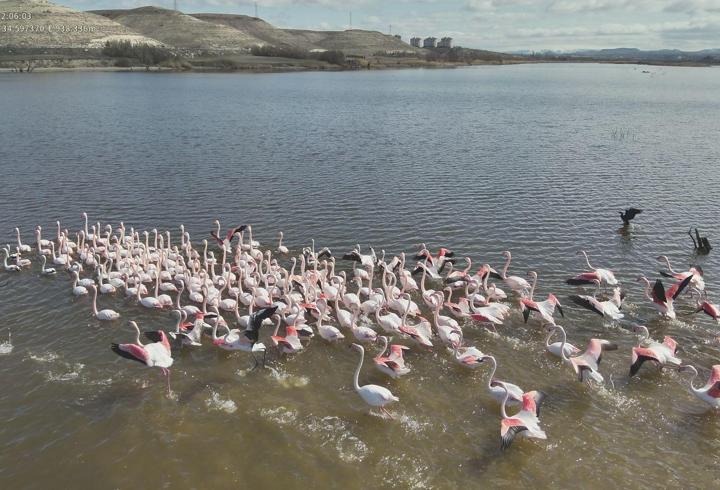 Nevşehir'de flamingolar dron ile görüntülendi