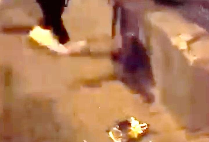 Kediyi tekmeledi, gözaltına alındı