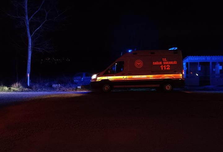 Bilecik'te tarlaya devrilen otomobildeki bir kişi yaralandı
