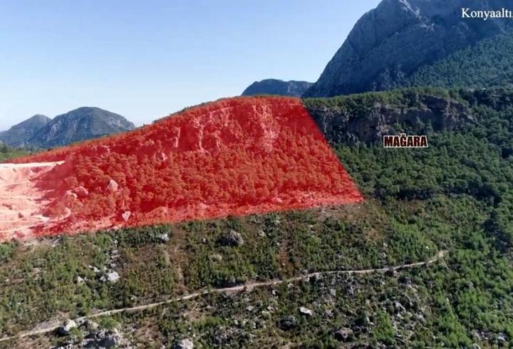 Kalker ocağı hakkında kaçak ağaç kesimi şikayeti