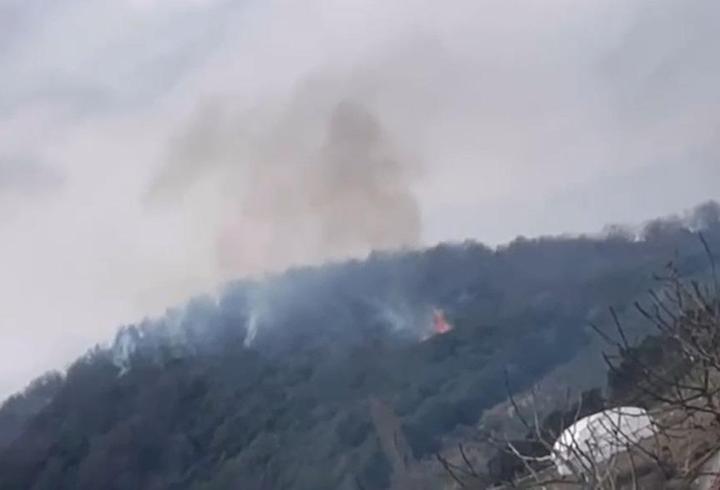 Yalova'da orman yangını, yarım saate söndürüldü
