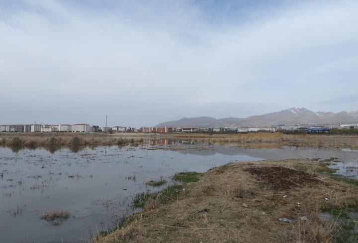 Akkaya Barajı’ndaki kaçak gümeler yıkıldı