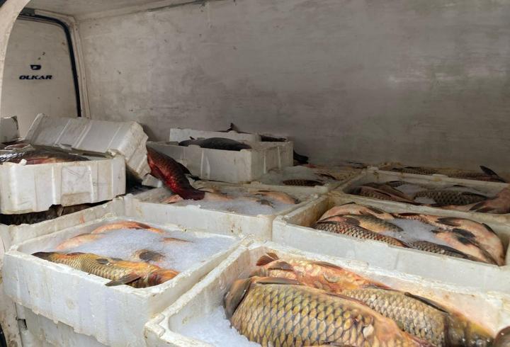 Kaçak balık avlayan 2 kişiye 75 bin lira ceza