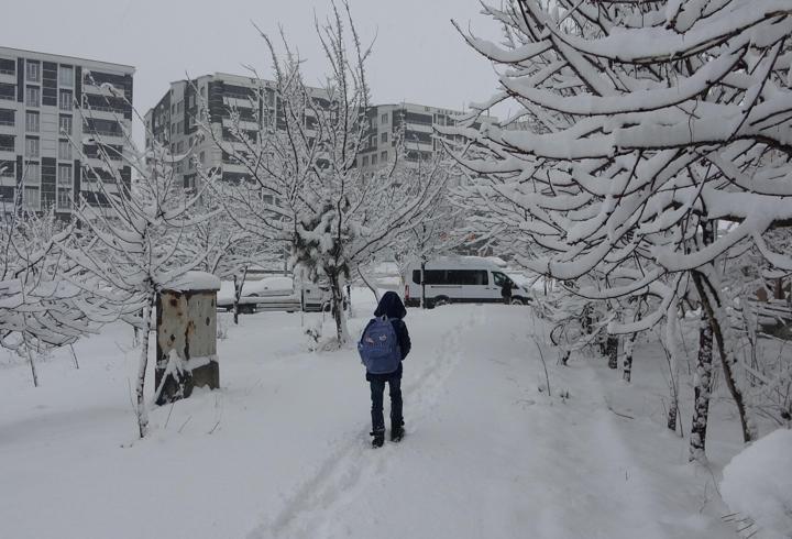 Bitlis'te kar yağışı; 80 köy yolu kapandı