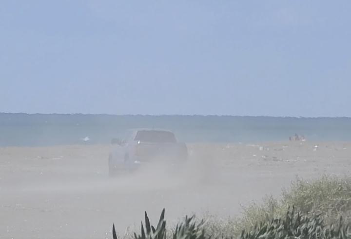 Kaplumbağa ve zambakların sahilinde drifte ceza