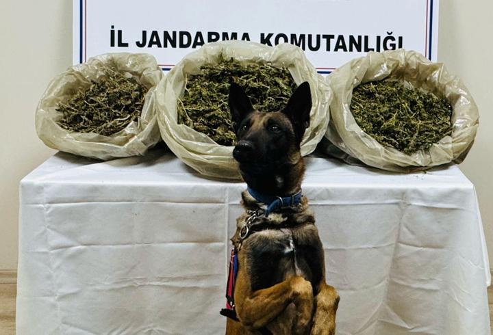 Batman'da ele geçirilen 21 kilo uyuşturucuya 1 tutuklama