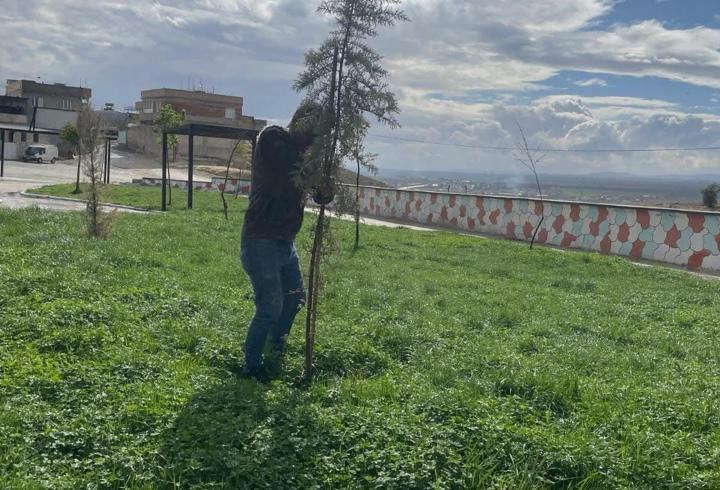 Birecik Belediyesi'nden park ve bahçelerde düzenleme