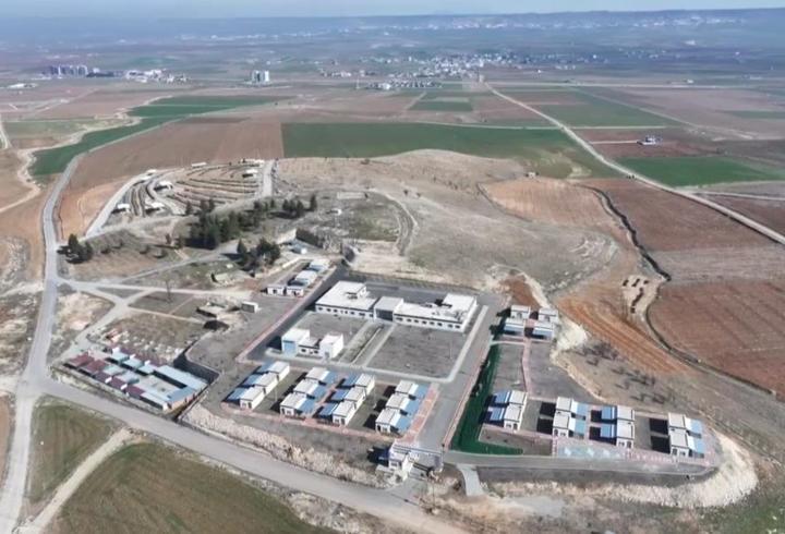 Batman'da toplatılan başıboş sokak hayvanları barınağa yerleştirildi