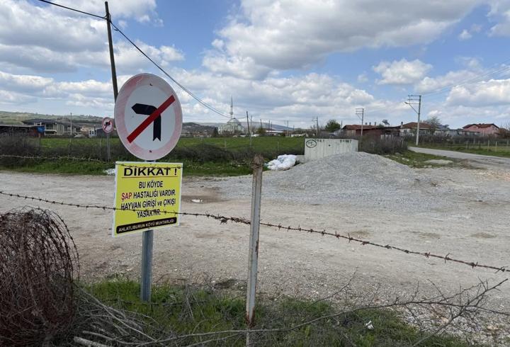 Çanakkale’de bir köye daha hayvan giriş çıkışları yasaklandı