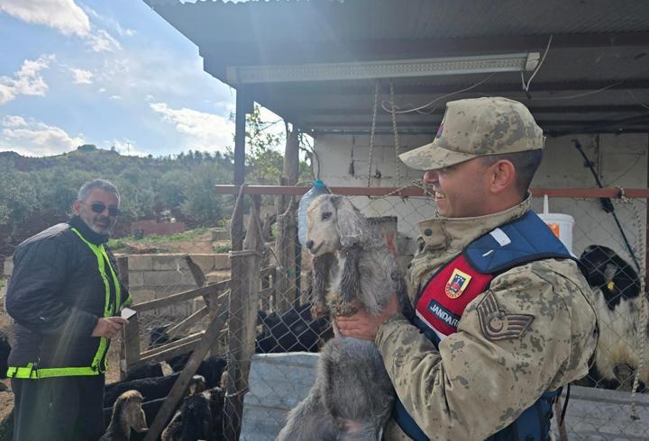 Kilis’te, kayıp hayvanlar bulundu