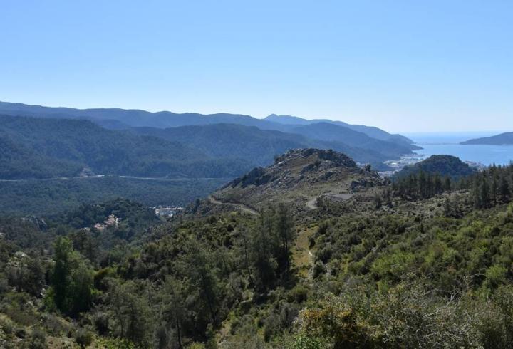 Muğla'da ormanlara giriş yasağı